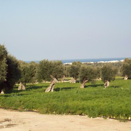 Masseria Ricci 法萨诺 外观 照片