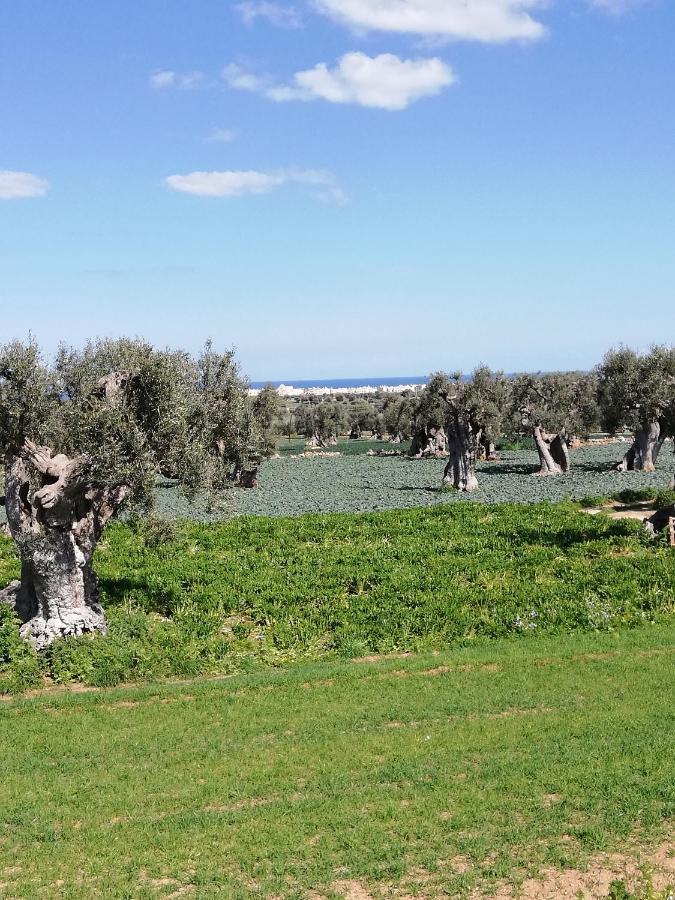 Masseria Ricci 法萨诺 外观 照片