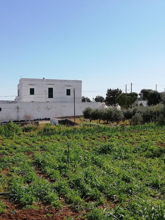 Masseria Ricci 法萨诺 外观 照片