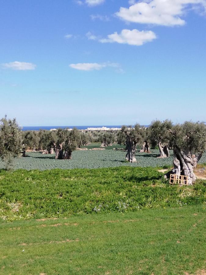 Masseria Ricci 法萨诺 外观 照片