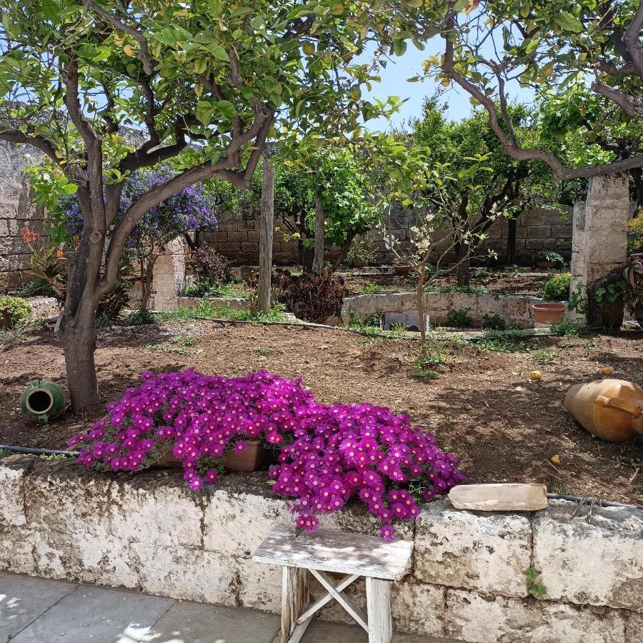 Masseria Ricci 法萨诺 外观 照片