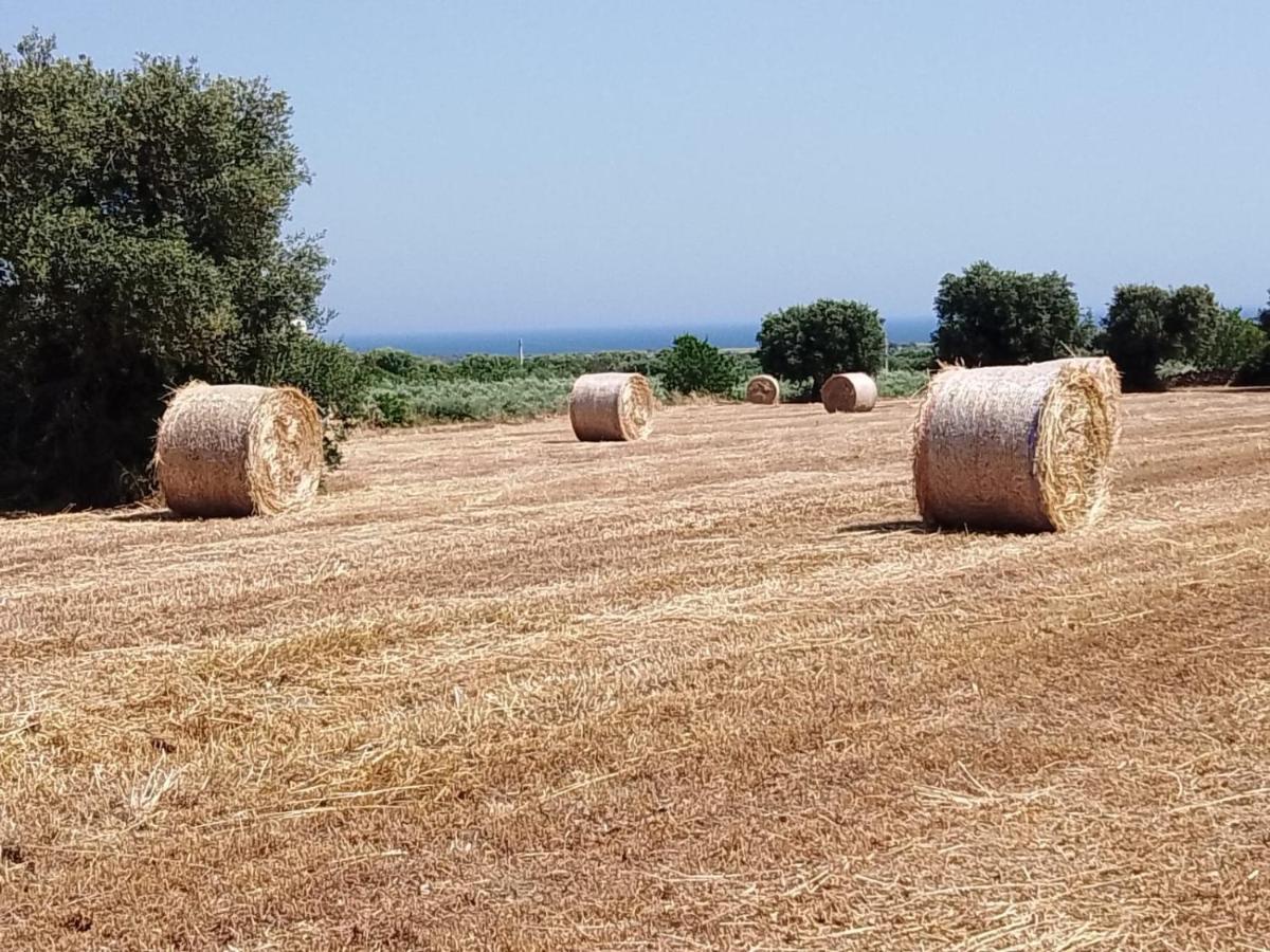 Masseria Ricci 法萨诺 外观 照片