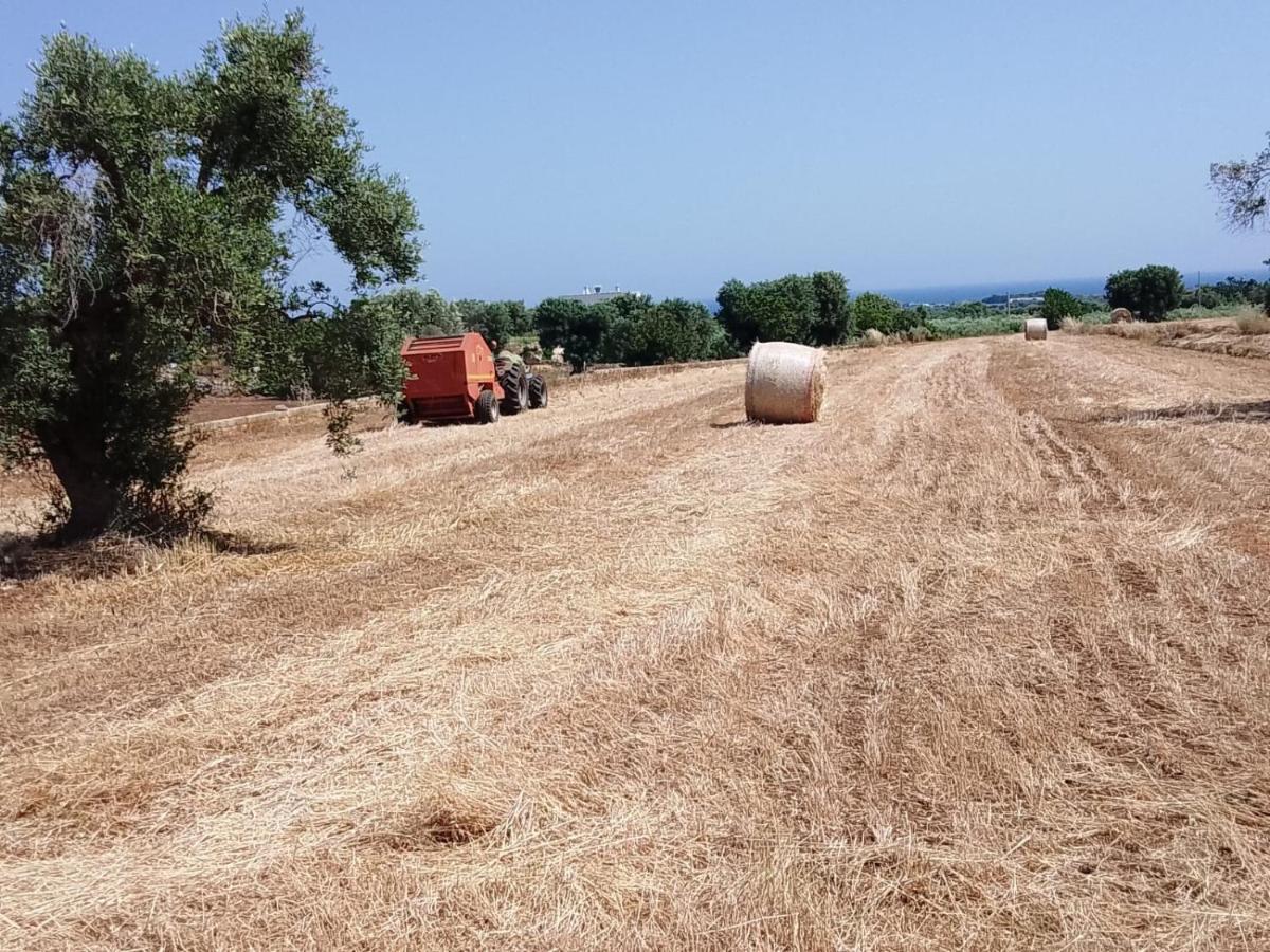 Masseria Ricci 法萨诺 外观 照片