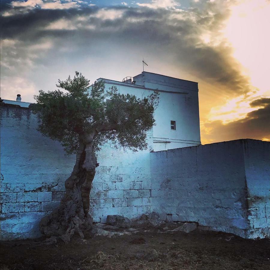 Masseria Ricci 法萨诺 外观 照片